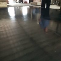供應施工專用黑模板、建筑模板廠家直銷
